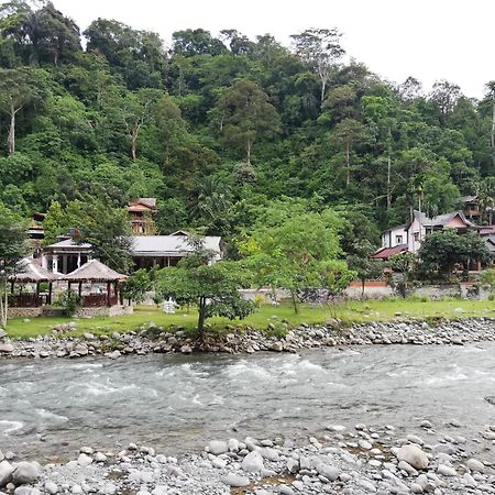 Umiyuki Jungle Tour Only Treking With As Hotel Bukit Lawang Bagian luar foto