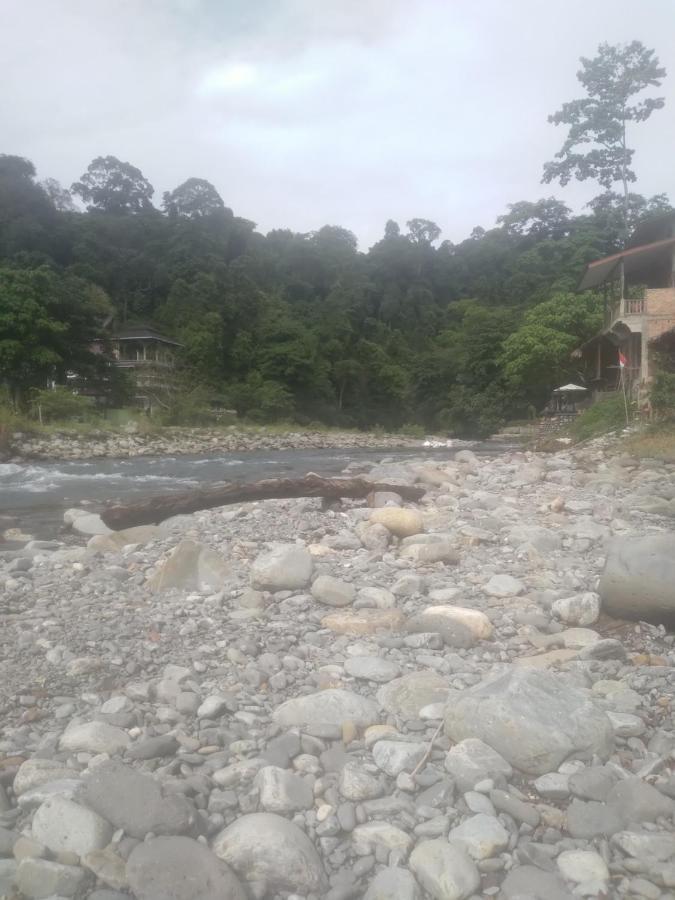 Umiyuki Jungle Tour Only Treking With As Hotel Bukit Lawang Bagian luar foto