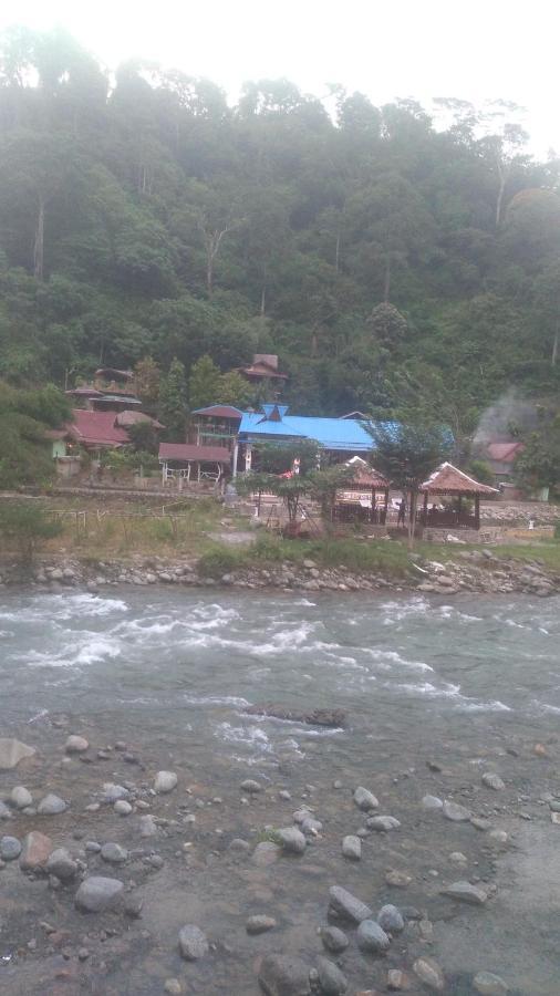 Umiyuki Jungle Tour Only Treking With As Hotel Bukit Lawang Bagian luar foto