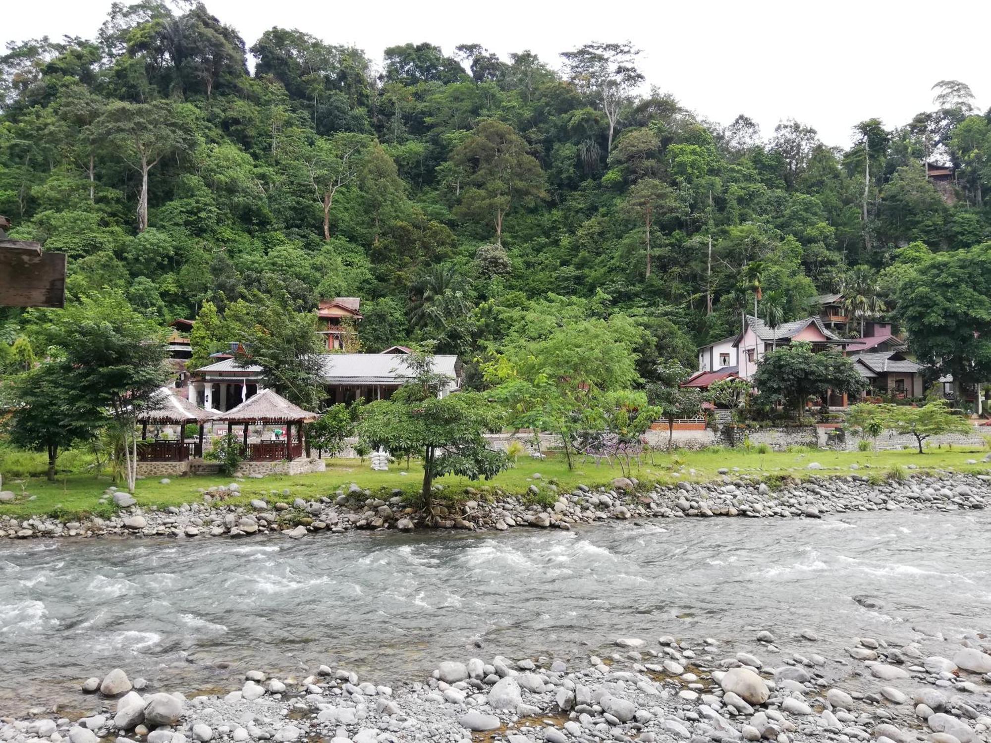 Umiyuki Jungle Tour Only Treking With As Hotel Bukit Lawang Bagian luar foto